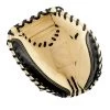 All-Star All Star CM150TM - Focus Framer - 29" Training Catchers Mitt -Baseball Pro Shop cm150tm